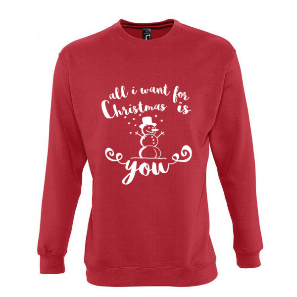 Pusa „All I want for Christmas is you“, ilma kapuutsita (SOODUSTUS)