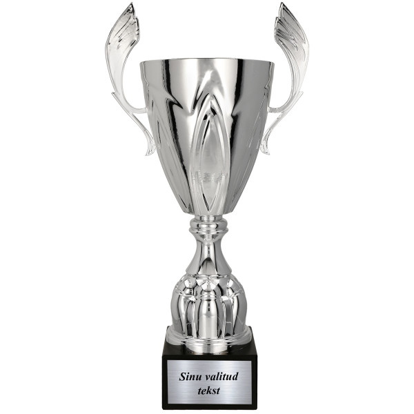 Auhind „Hõbedane karikas“ (lisatasu eest graveerimise võimalus)