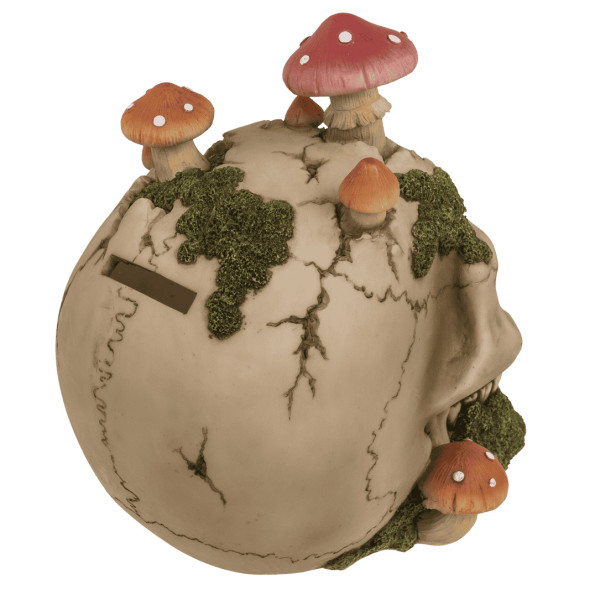 Koljukujuline rahakassa "Mushroom" Koljukujuline rahakassa "Mushroom"