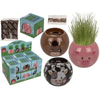 Murupea – Taluloom