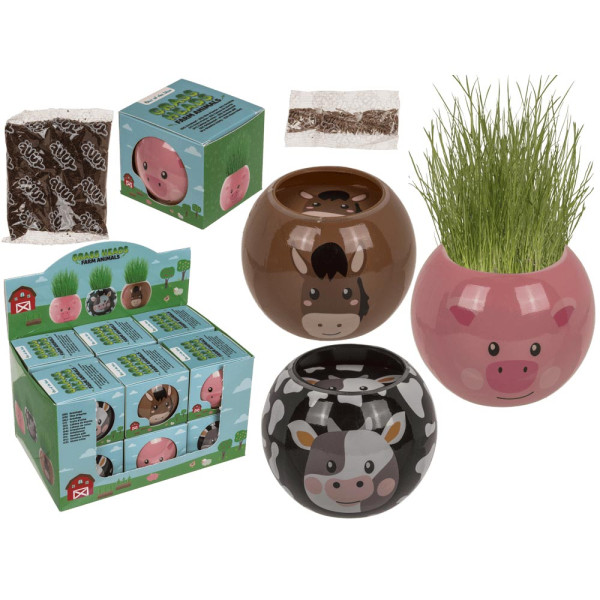 Murupea – Taluloom