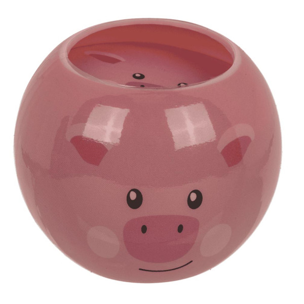 Murupea – Taluloom