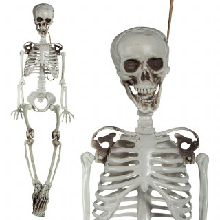 Kaunistus "Skelett" (90cm)