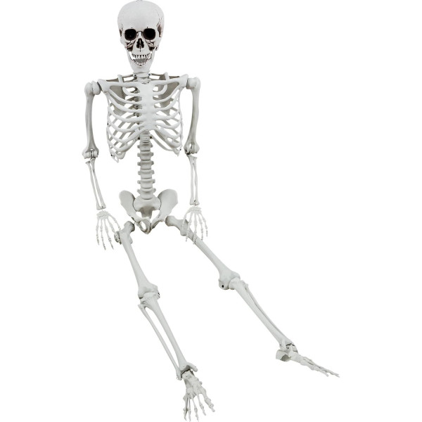 XXL Dekoratsioon "Skelett" (165cm)