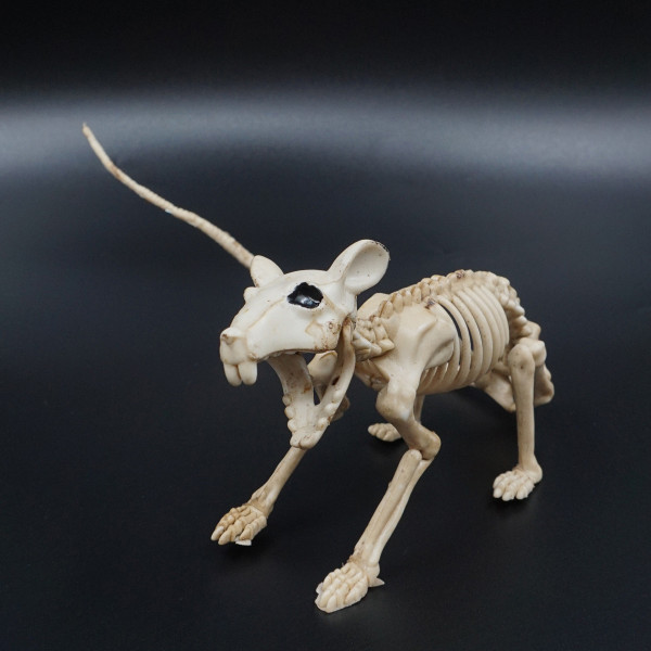 Halloweeni figuur "Roti skelett"