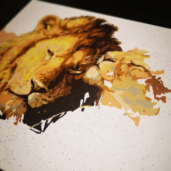Maalimiskomplekt numbrite järgi "Lõvid" (40x50cm)