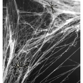 Ämblikuvõrk koos ämblikega, valge (60g.)