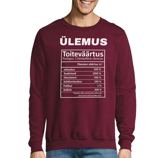 Džemper "Ülemuse kompositsioon" (ilma kapuutsita)