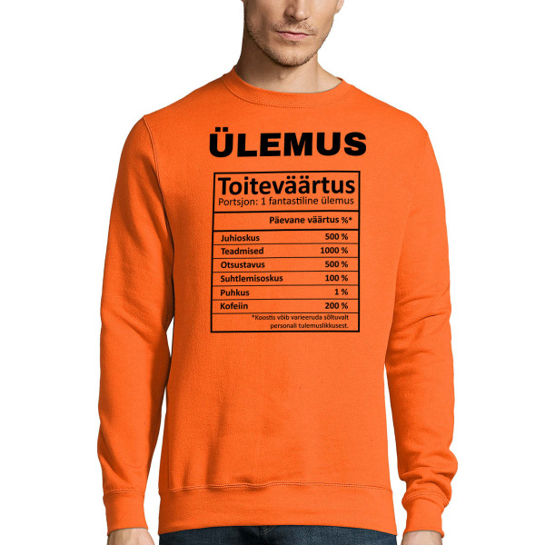 Džemper "Ülemuse kompositsioon" (ilma kapuutsita)
