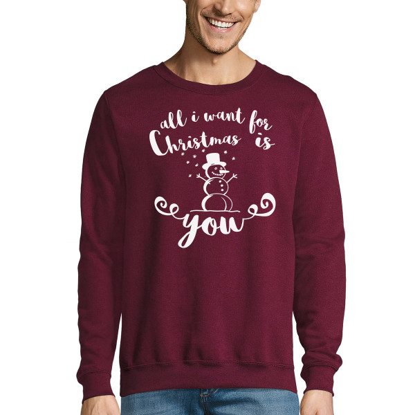 Pusa „All I want for Christmas is you“ (ilma kapuutsita)