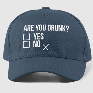 Nokkmüts "Are you drunk?"