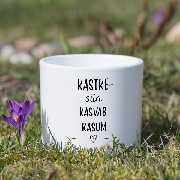 Keraamiline lillepott "Kastke - siin kasvab kasum"
