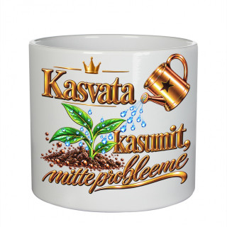 Keraamiline lillepott „Kasvata kasumit, mitte probleeme“