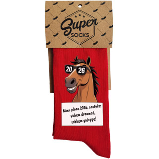 Sokid "Minu 2026. aasta plaan"